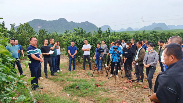 生物所科技人员赴江州区开展百香果观摩培训会