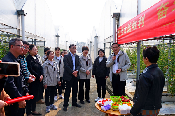 蔬菜所举办“跟党奋进新征程•巾帼建功新时代”巾帼文明岗主题展示活动