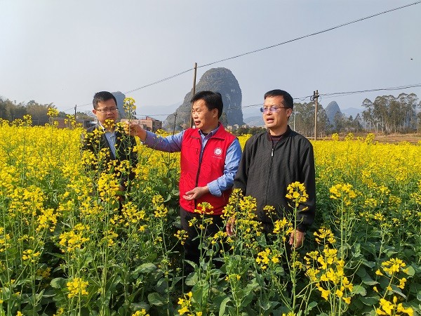 国家乡村振兴重点帮扶县广西昭平科技特派团大豆产业组专家到昭平县开展对接帮扶工作