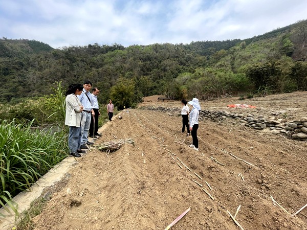 庞新华向基地负责人传授甘蔗桂热2号高产、高效种植技术_副本.jpg