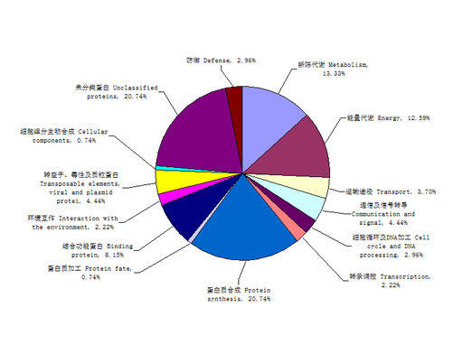 广西遗传改良重点实验室3.jpg