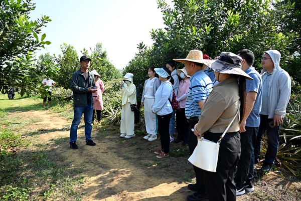 培训现场(1)_副本.jpg