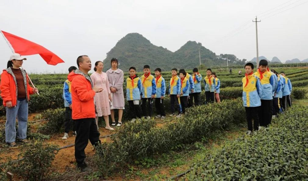 广西南亚所“筑牢茶文化，做强红色南疆茶科技”项目入选全国“三茶”统筹发展典型案例