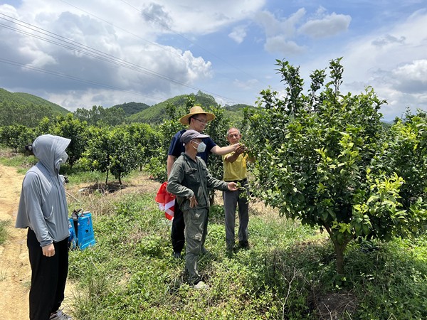 技术人员田间指导农户种植_副本.jpg