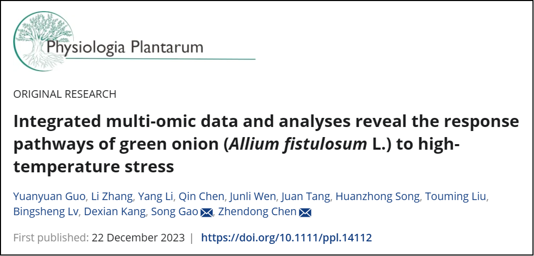 花卉研究所设施蔬菜团队在Physiologia Plantarum期刊发表香葱耐热研究论文