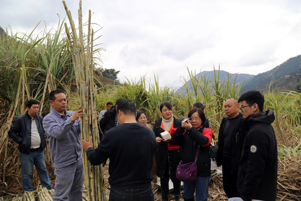 田林查定图片_副本.jpg