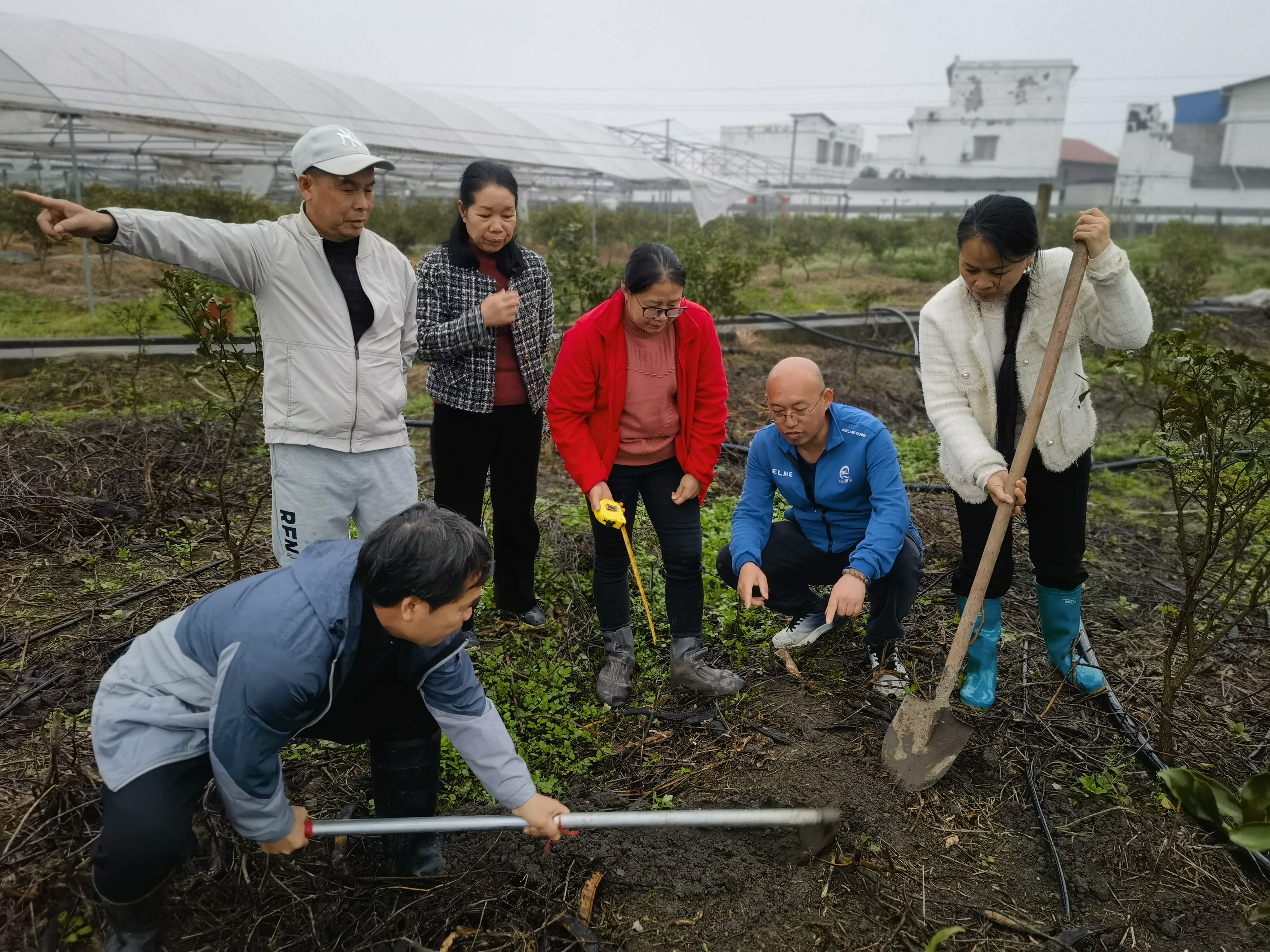 葡萄所科技人员赴来宾市、柳州市和武鸣县等地开展科技下乡促春耕服务活动