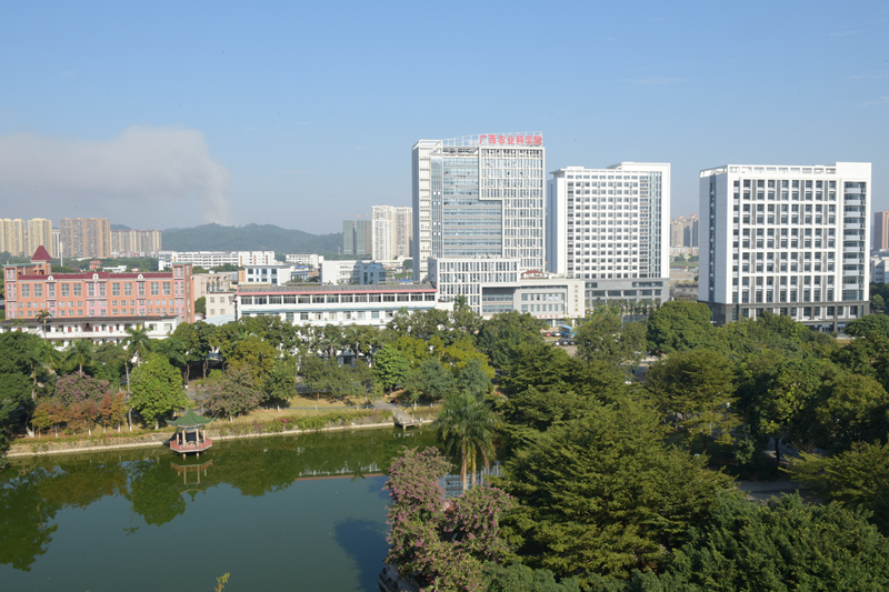 美丽大院