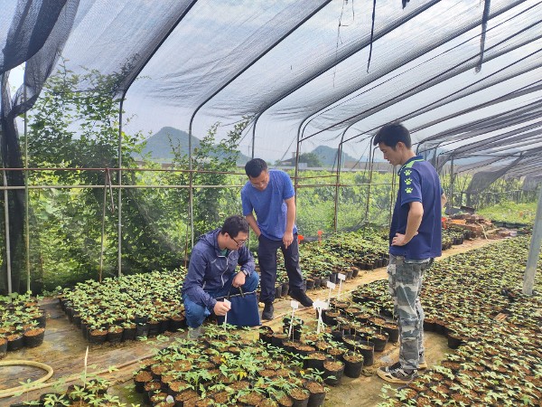 经作所科技人员到合浦、防城港、龙州等地开展产业和科技合作交流指导.jpg