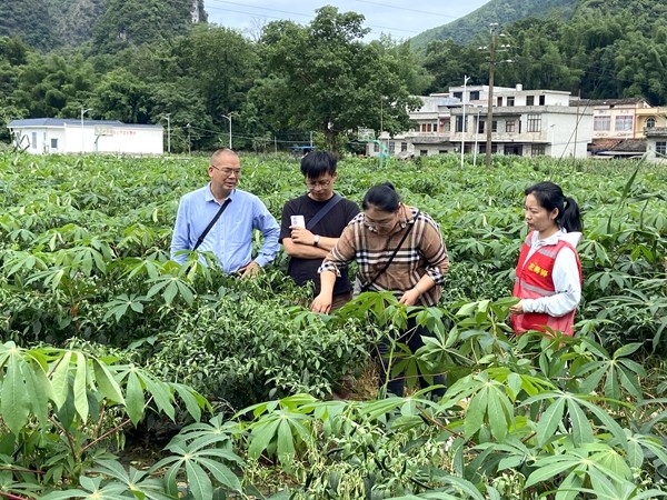 指天椒生产基地进行技术指导_副本.jpg