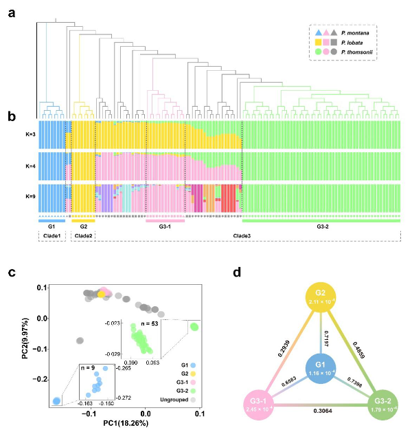 DNA Research上发表野葛基因组和葛属群体遗传变异图谱相关文章1.png