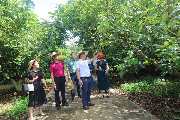 自治区教育厅到广西南亚所开展中小学生研学实践教育基地实地核查考评工作