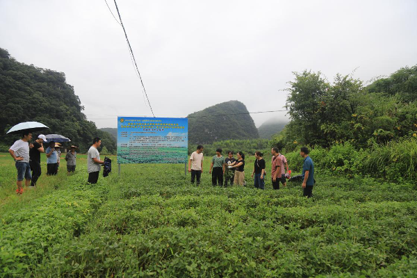 国家乡村振兴重点帮扶县广西昭平科技特派团1.png