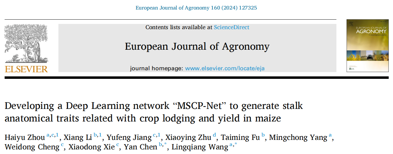 玉米所科技人员在中科院一区TOP期刊发表玉米茎秆维管束和抗倒性研究成果