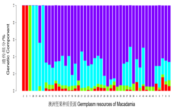 攻克澳洲坚果产业关键技术，助力“坚果产业”发展成乡村振兴“好产业”